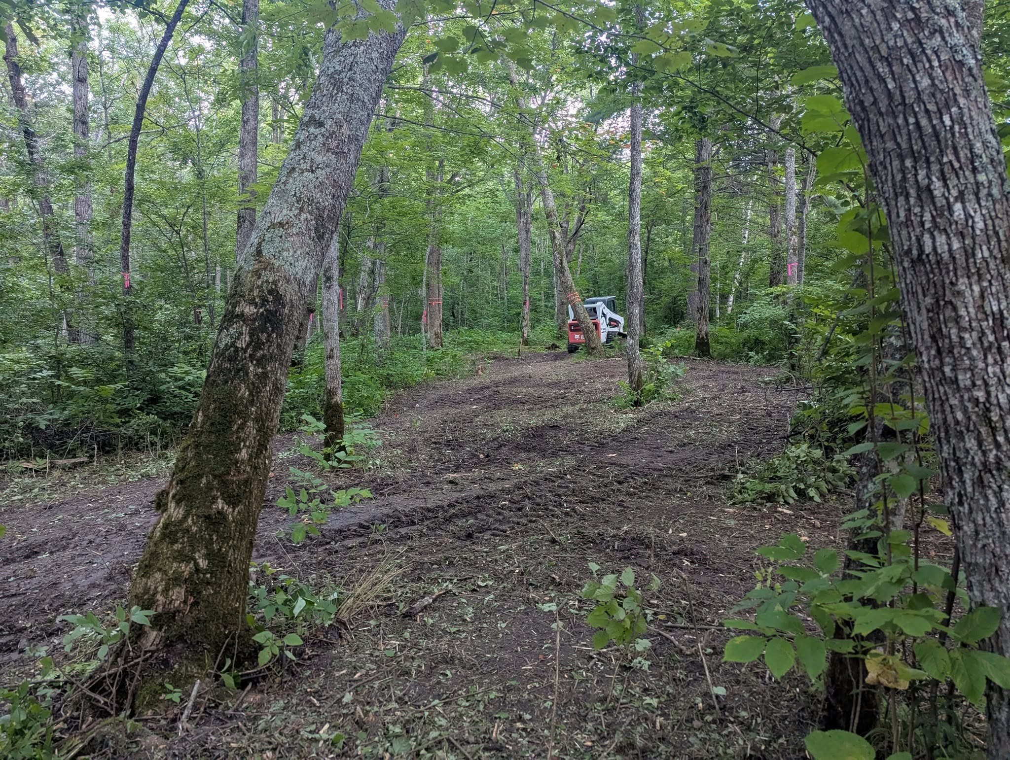Two people building a forest trail with hand tools